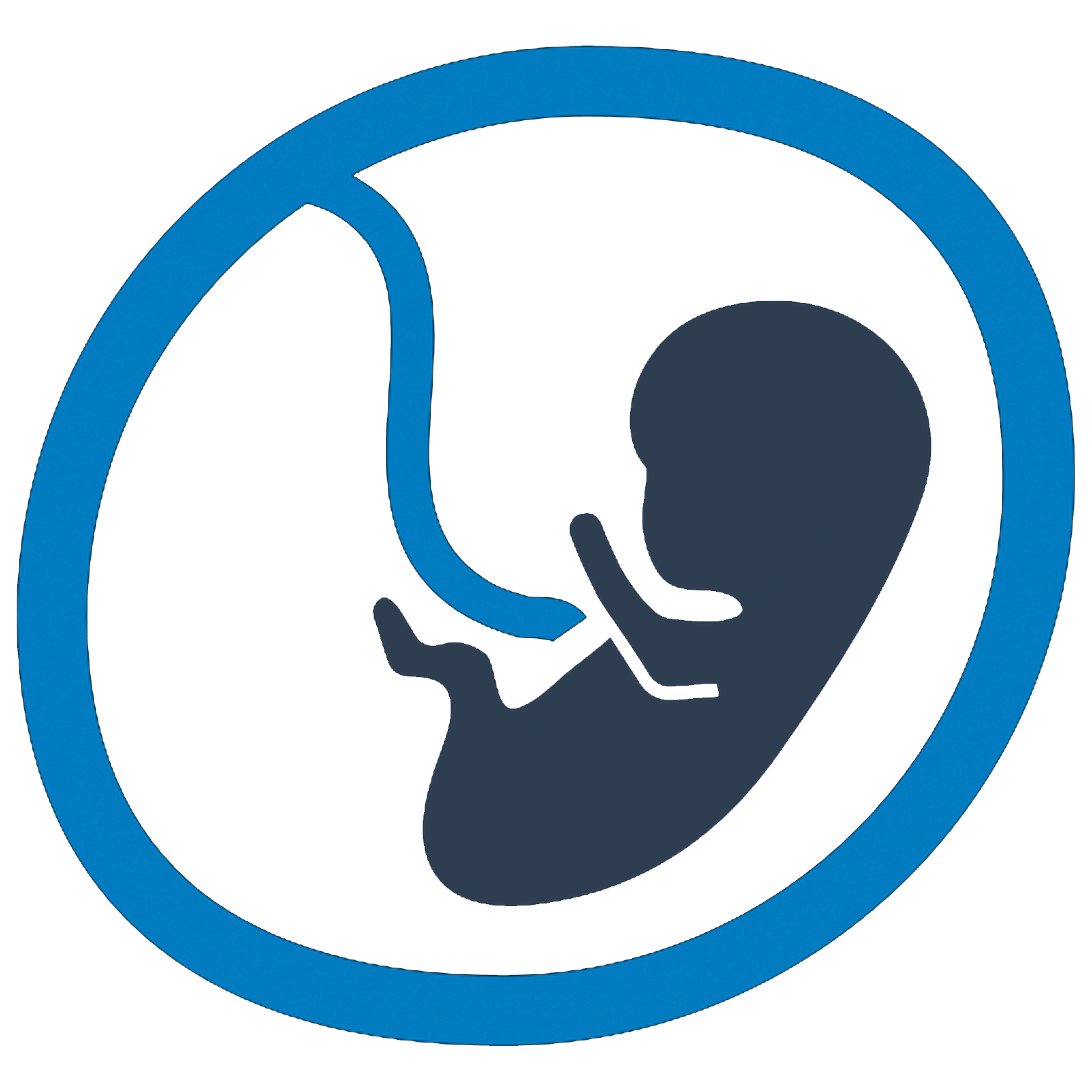Microscope Icon